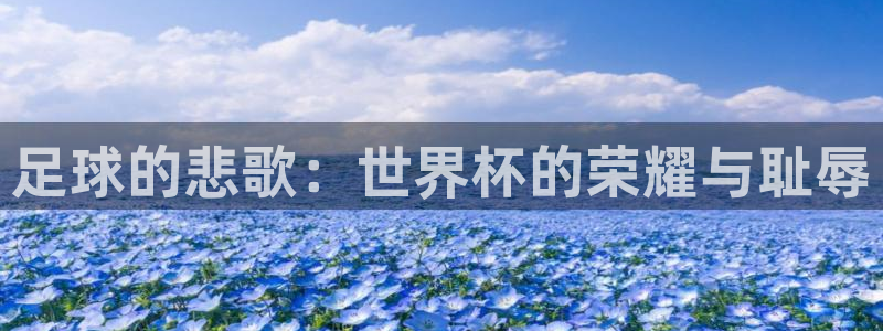 世界杯预选赛赛程表：足球的悲歌：世界杯的荣耀与耻辱