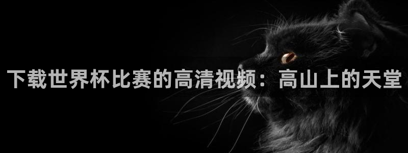 2026足球世界杯赛程时间表：下载世界杯比赛的高清视频：高山上的天堂