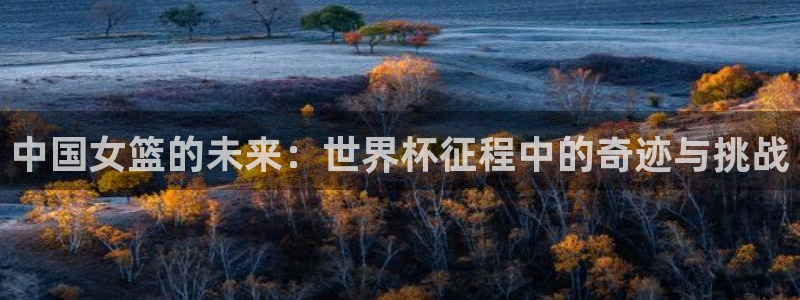 2026世界杯预选赛：中国女篮的未来：世界杯征程中的奇迹与挑战