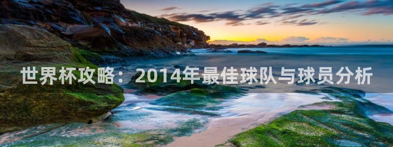 世界杯2026预选赛：世界杯攻略：2014年最佳球队与球员分析