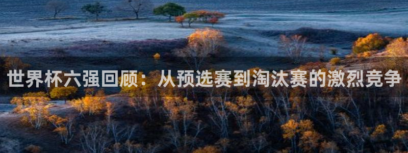 世界直播：世界杯六强回顾：从预选赛到淘汰赛的激烈竞争