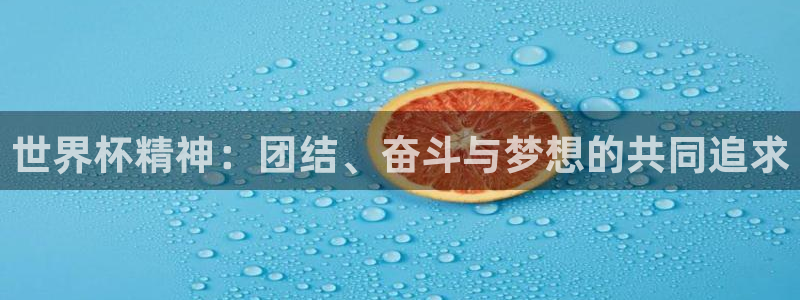 世界杯 中国：世界杯精神：团结、奋斗与梦想的共同追求