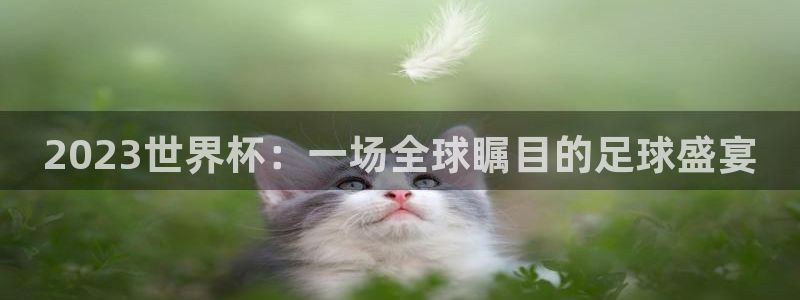 2026 世界杯：2023世界杯：一场全球瞩目的足球盛宴