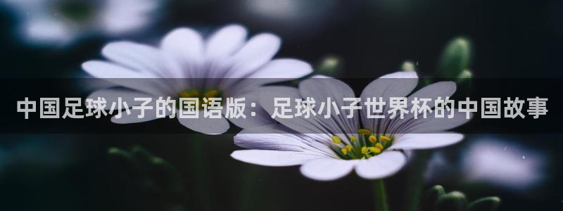 世界杯预选赛欧洲区赛程：中国足球小子的国语版：足球小子世界杯的中国故事