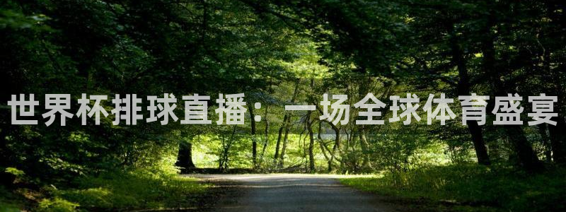 世界杯2026赛程：世界杯排球直播：一场全球体育盛宴