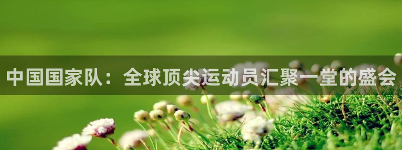 欧洲世界杯预选赛赛程：中国国家队：全球顶尖运动员汇聚一堂的盛会
